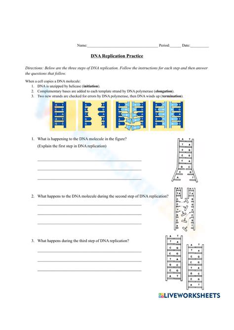 Image result for DNA Simulation Worksheet