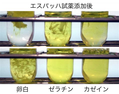 Image result for Alien Transpor Transparent