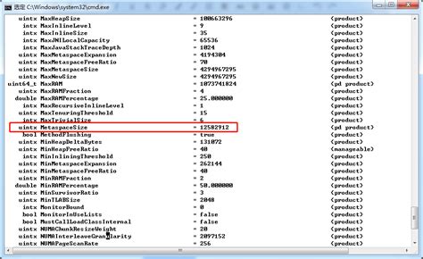 Java.lang.outofmemoryerror Metaspace 的图像结果