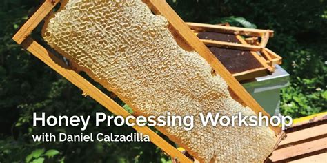 Image result for Basic Honey Processing