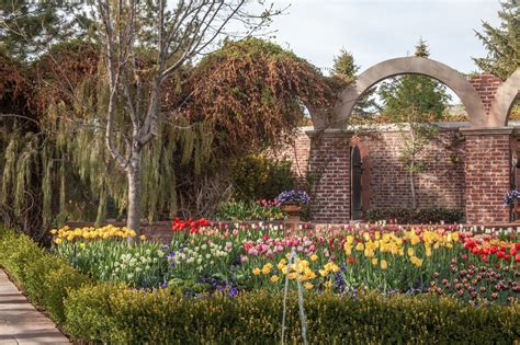 My Musings: Tulip Festival at Thanksgiving Point