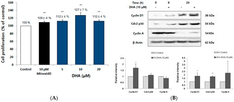 Mackerel-Derived Fermented Fish Oil Promotes Hair Growth by Anagen ...