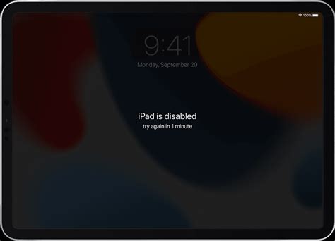 Image result for Passcode On Your iPad Mini 2