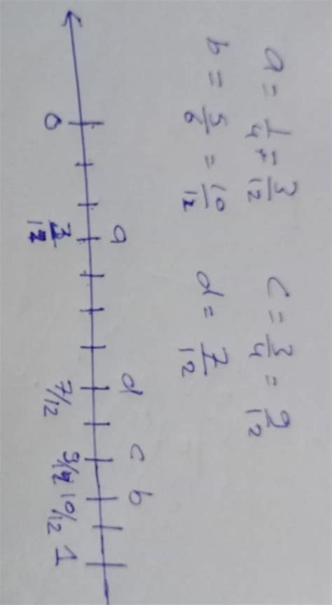 6. Represent these rational numbers on the same number line.a. 1/4b. 5 ...