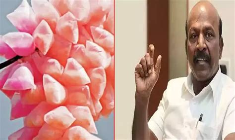 Sale of cotton candies banned in TN