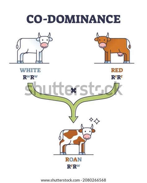 Image result for Codominance Examples Animals