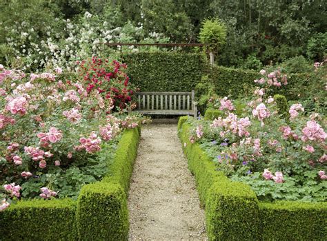 11 Essential Tips for Creating a Rose Garden - Rose Growing Tips