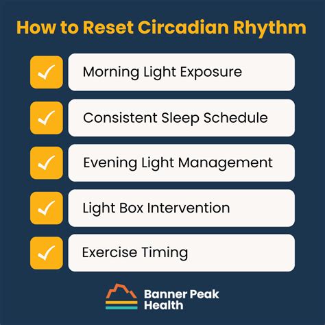 How to Reset Your Circadian Rhythm: A Physician’s Tips