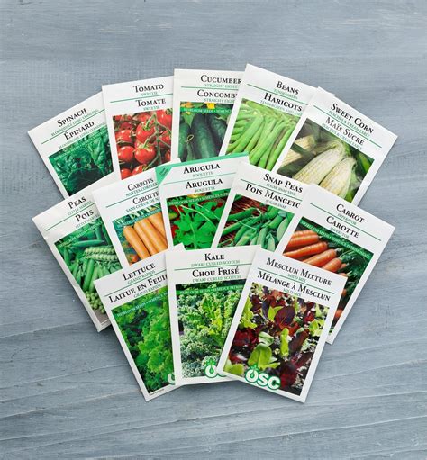 How To Properly Plant Seed Packets at Ronald Pepper blog