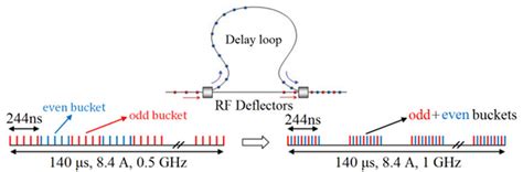 qPCR 的图像结果