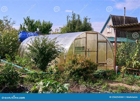 How Is Greenhouses Produced