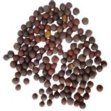 Buy Mustard Seed | Fresh, Clean & Flavorful | Native Indian Organics7