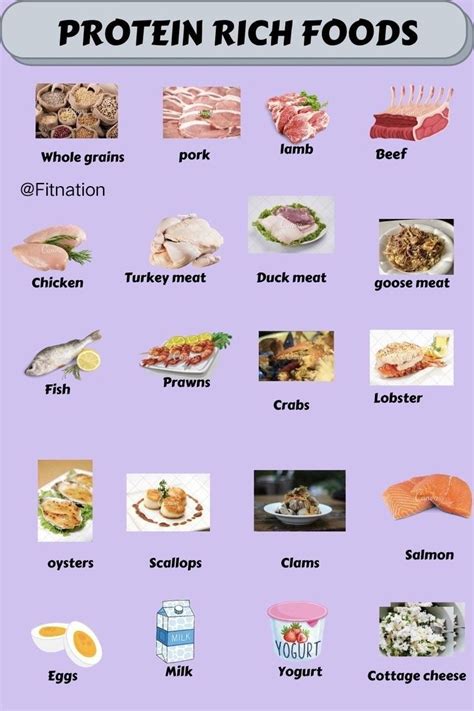 Essential Protein-Rich Plains Nations Travel Food