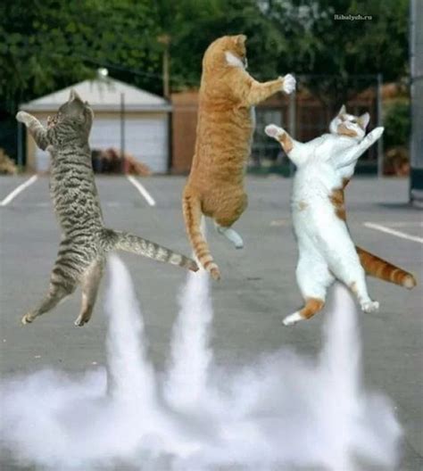 Fart Meme Sound Effect Reverb 的图像结果