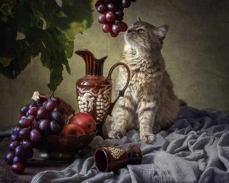 Can Cats Eat Grapes? 2 Major Risks Uncovered!
