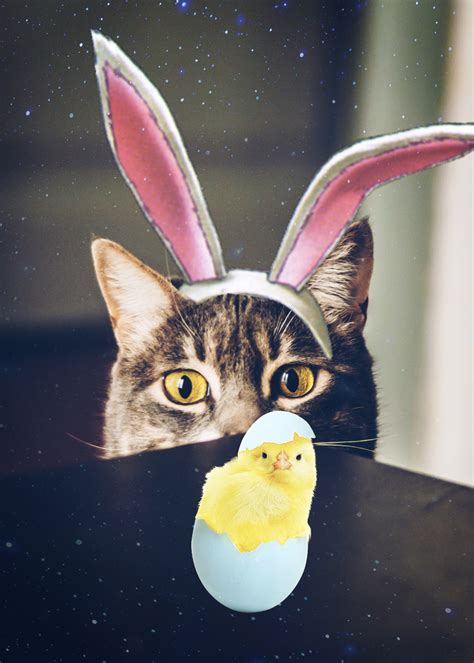 Easter Parking Memes Easter Bunny Memes