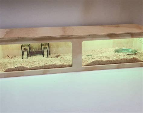 Image result for Lizard Containers