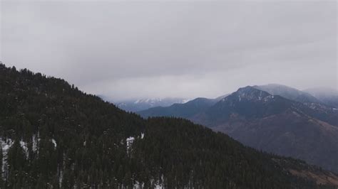 Image result for Hung Muscle Compilation