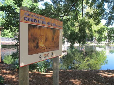 Gorongosa National Park | Mozambique | Wild Safari Guide