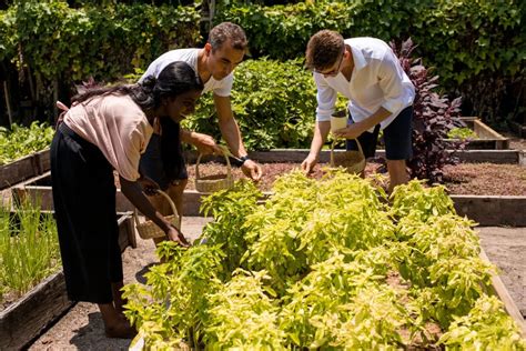 6 Sustainable, Environment-Loving Maldives Resorts That Should Be On ...