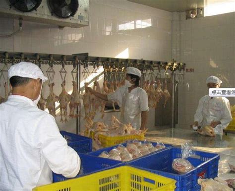 河北省省级畜禽屠宰标准化厂公示 | 中国动物保健·官网