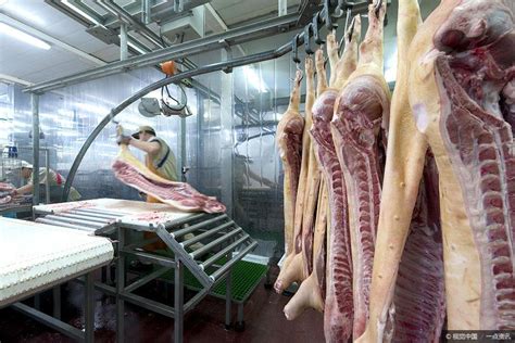 河北省省级畜禽屠宰标准化厂公示 | 中国动物保健·官网