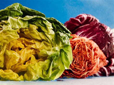 Types Of Lettuce Chart