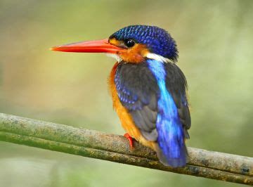 Bangladesh Tour Packages Duration 1 Night 2 Days | dhaka, explore the ...