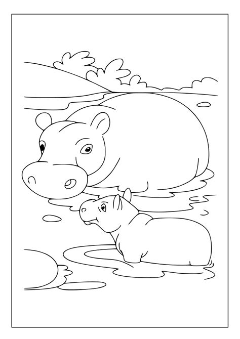 Printable Hippo Coloring Pages for Kids and Adults | 90 Pages | Instant ...