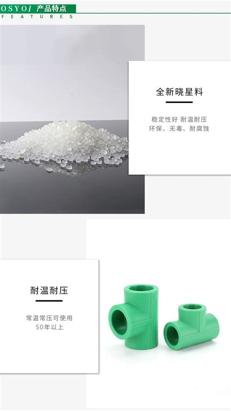 ppR3 Vector 的图像结果