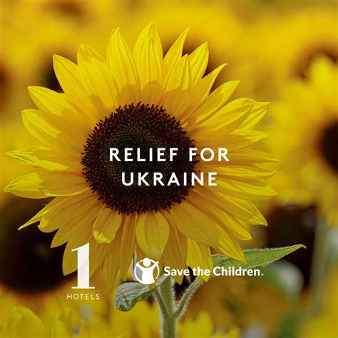 Vanessa Rosario posted on LinkedIn