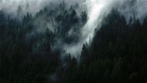 Dark Moody Wallpapers - Top Free Dark Moody Backgrounds - WallpaperAccess