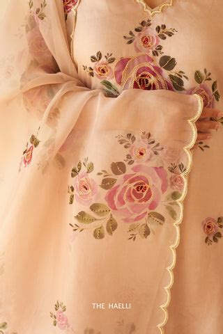 Tara Beige Organza Silk Dupatta – The Haelli