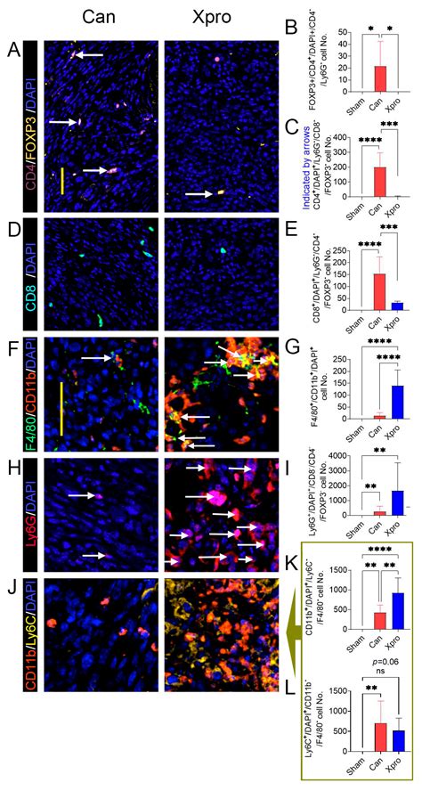 TNFR1 Suppression by XPro1595 Reduces Peripheral Neuropathies ...