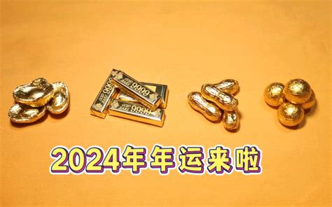 【嘉善】2024年年运来咯 - 哔哩哔哩