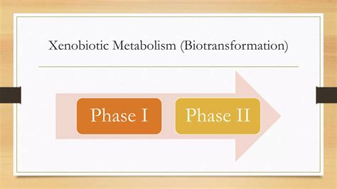 Xenobiotics Metabolism by Dr. Afzal Ahmad | PPTX