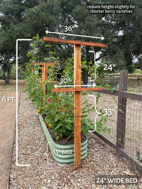 Image result for How to Build Raspberry Trellis