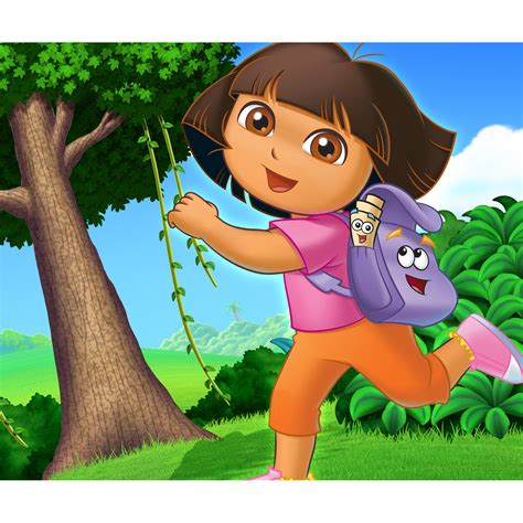 Dora Homework 的图像结果