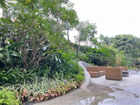 Alipur White House landscape | Abin Design Studio