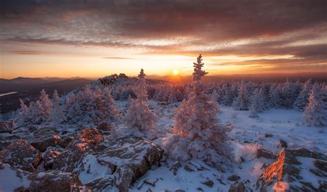 Wallpaper : Russia, nature, trees, winter, sunlight, cold, snow 1920x1127 - WallpaperManiac ...