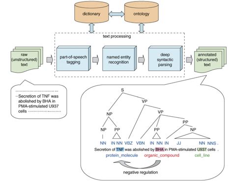 Image result for Text Preprocessing Level 1
