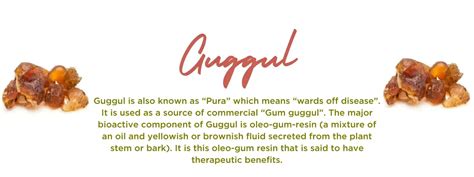 Guggul - Health Benefits, Uses and Important Facts - PotsandPans India
