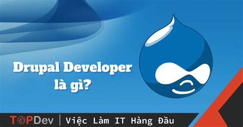 Drupal Theme Developer 的图像结果