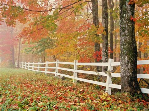 Image result for Fall Nature Desktop Backgrounds