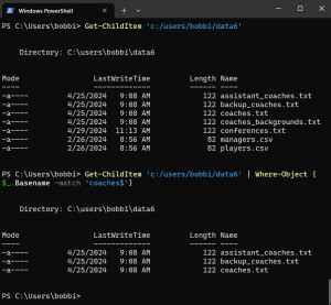 Image result for PowerShell Filter String