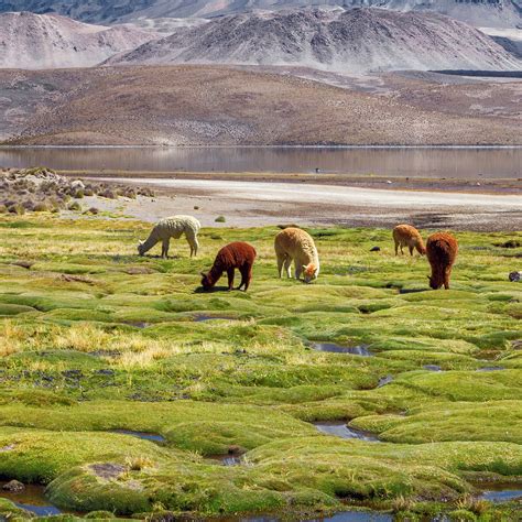 PROGRAMS - SIT Study Abroad