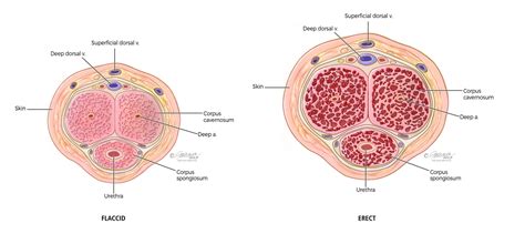 Image result for Ed Problem Solved