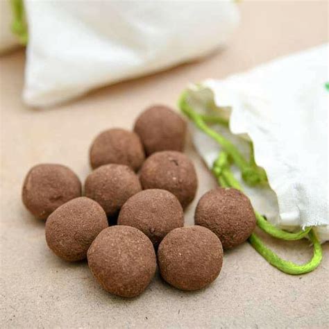 Seed Balls – Padmam Nursery