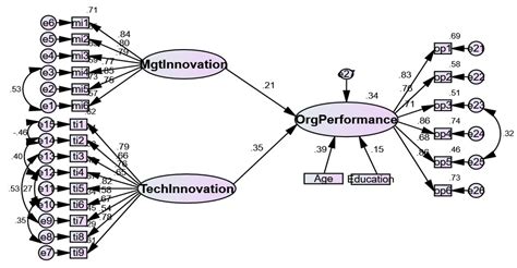 The Influence of Management Innovation and Technological Innovation on ...