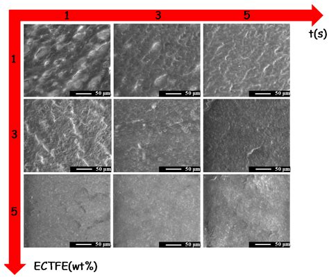 Development of Novel ECTFE Coated PP Composite Hollow-Fiber Membranes